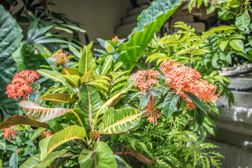 Villa Seriska Seminyak Eksteriør bilde
